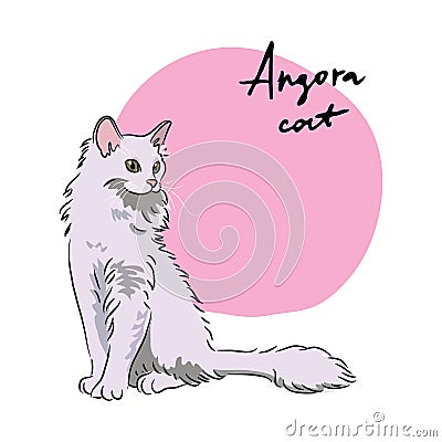 Angora cat, illustration Cartoon Illustration